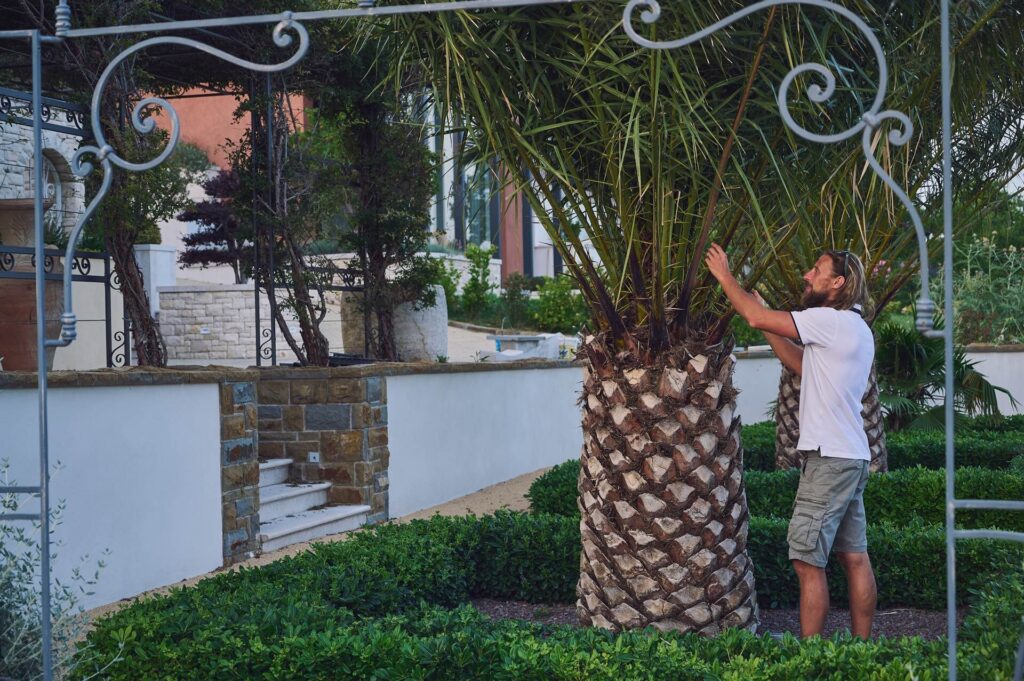 Vila Malija Vrtnarstvo Moretini 2