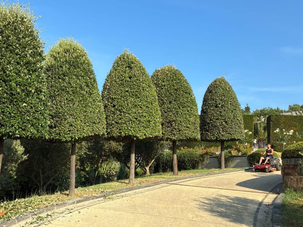 Vila Malija Vrtnarstvo Moretini 6