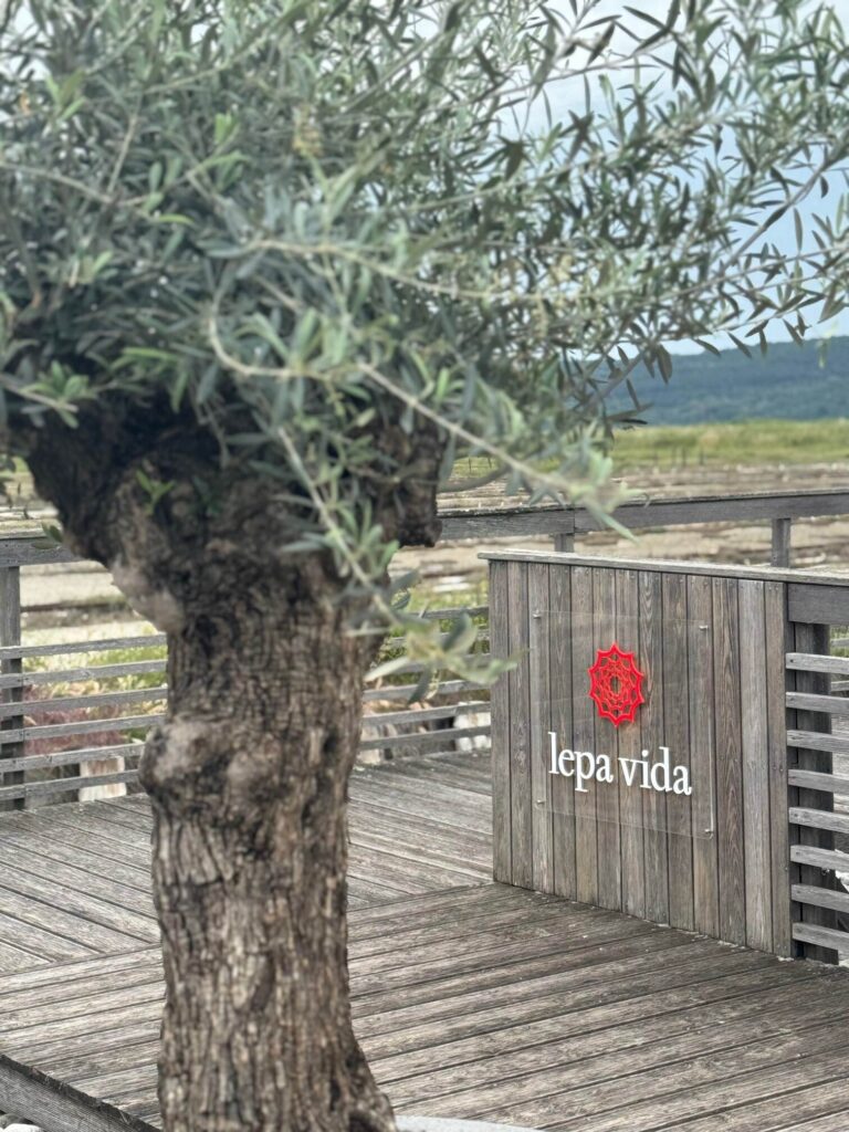 Lepa Vida – Soline