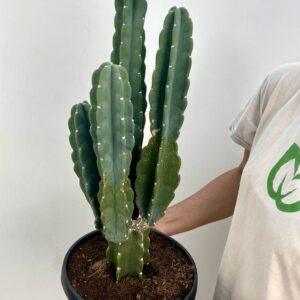 Optimized by JPEGmini 3.18.26.250256089-TBTBLNP 0x1d6d8e5e