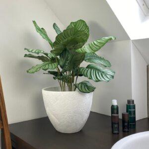 Zunanji okrasni lonec - Flora planter