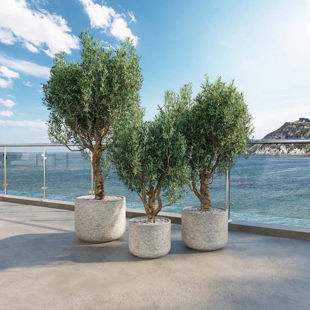 Okrasni lonec - Petal planter