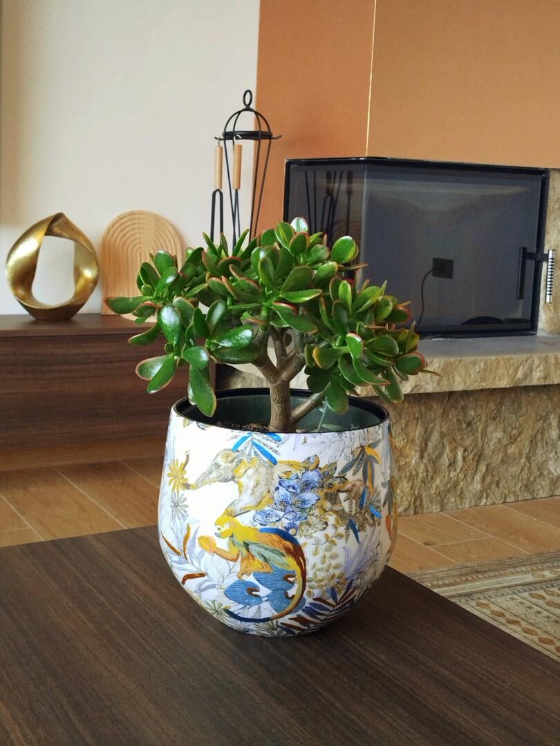 Set treh okrasnih loncev - Cobalt Jungle