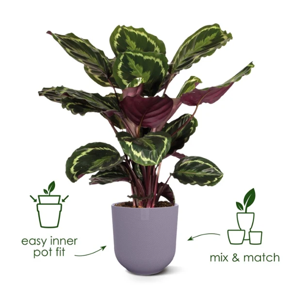 Okrasni lonec- ELHO Jazz okrogel