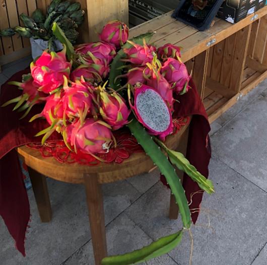 Domač-DragonFruit