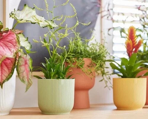 okrasni lonci Elho vibes fold mini