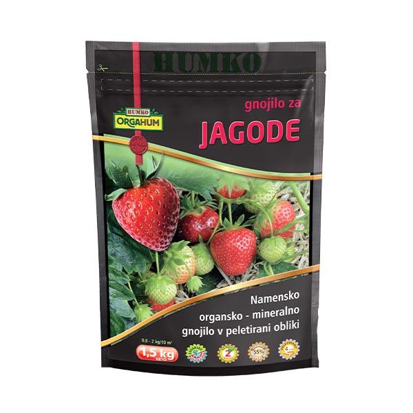 Orgahum -jagode Orgahum - gnojilo za jagode 9+3+3
